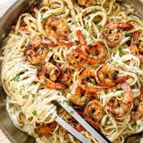 top view of shrimp alfredo with juicy seasoned shrimp on top of fettuccine