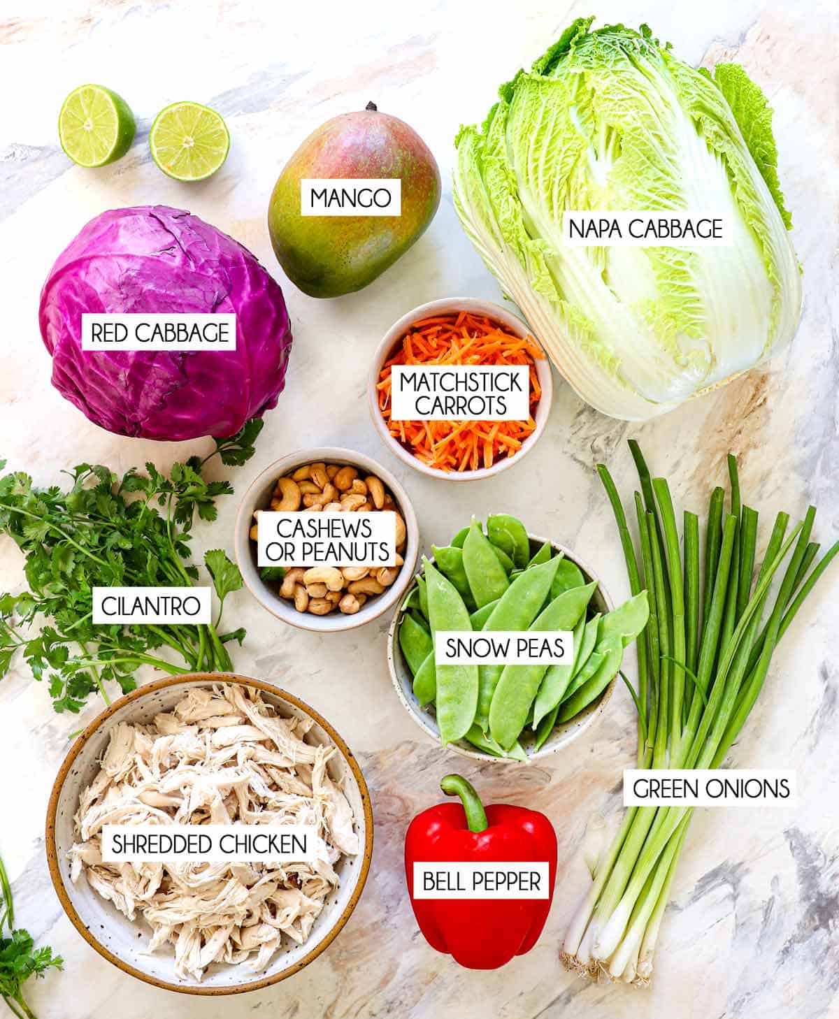 top view of Thai Chicken Salad ingredients: napa cabbage, red cabbage, shredded chicken, peanuts, bell pepper, snow peas, cilantro, green onions, red bell pepper, mango, limes