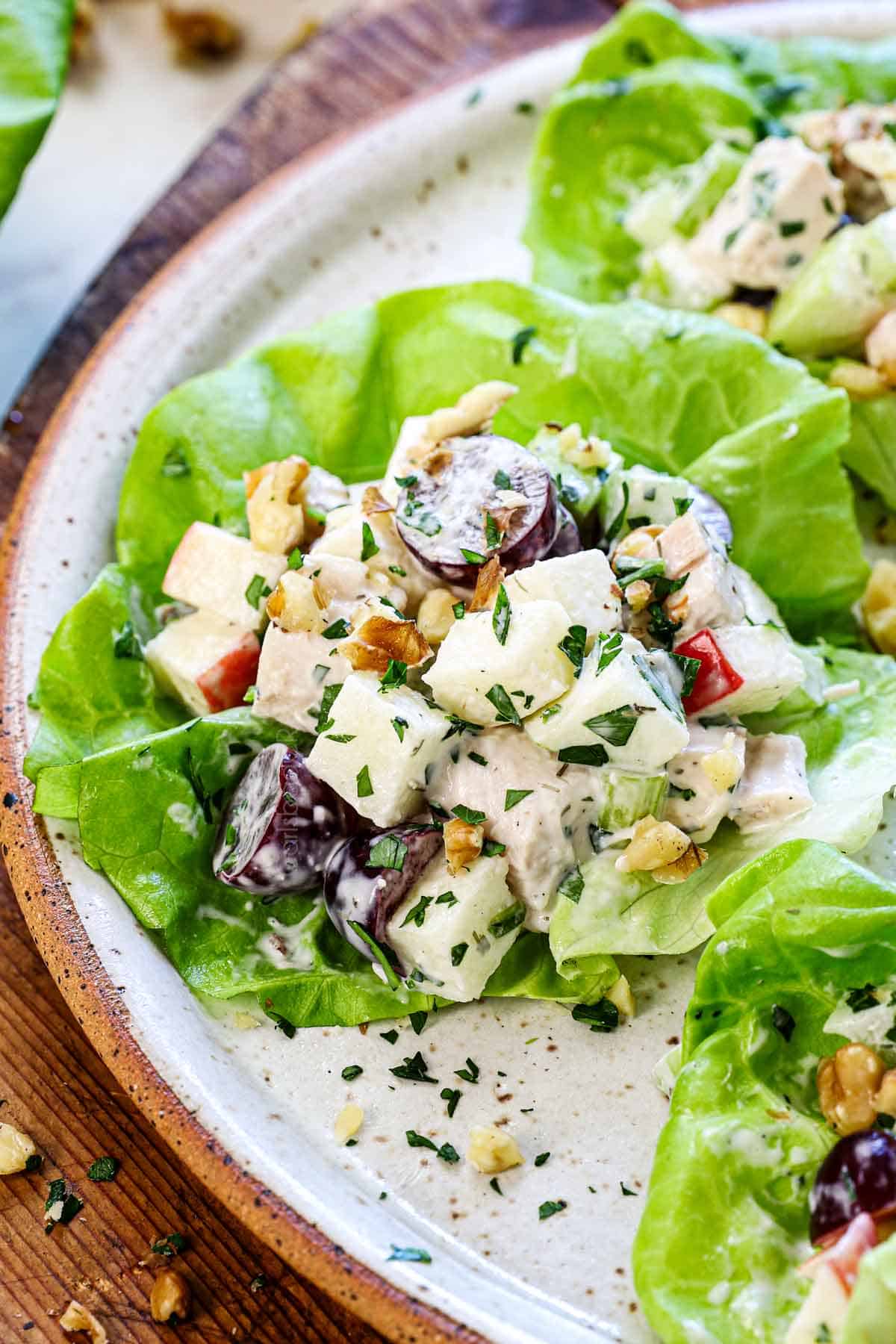 up close of serving waldorf chicken salad recipe showing the texture with the chicken, apples, grapes, celery, and walnuts