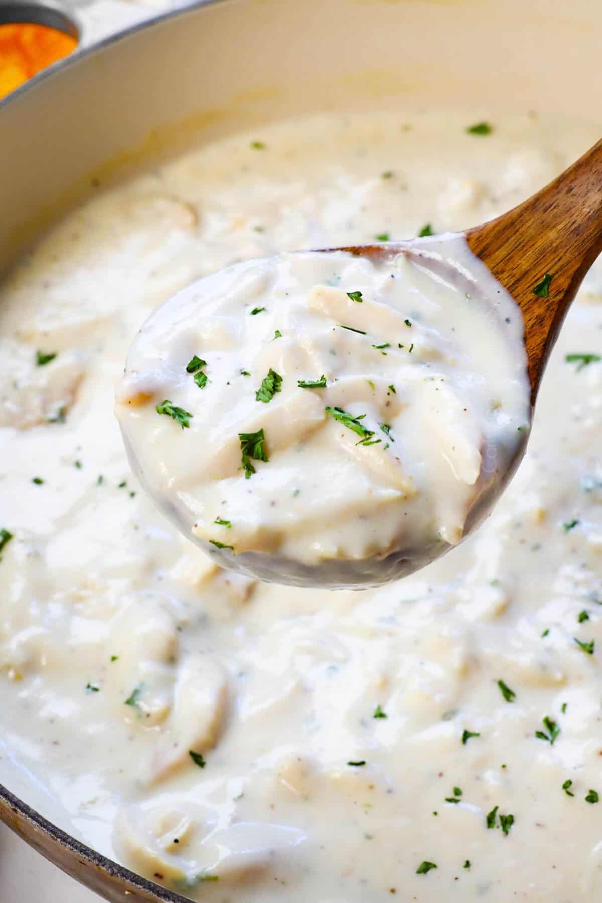 up close of a ladleful of Hawaiian Haystacks showing how creamy the gravy in