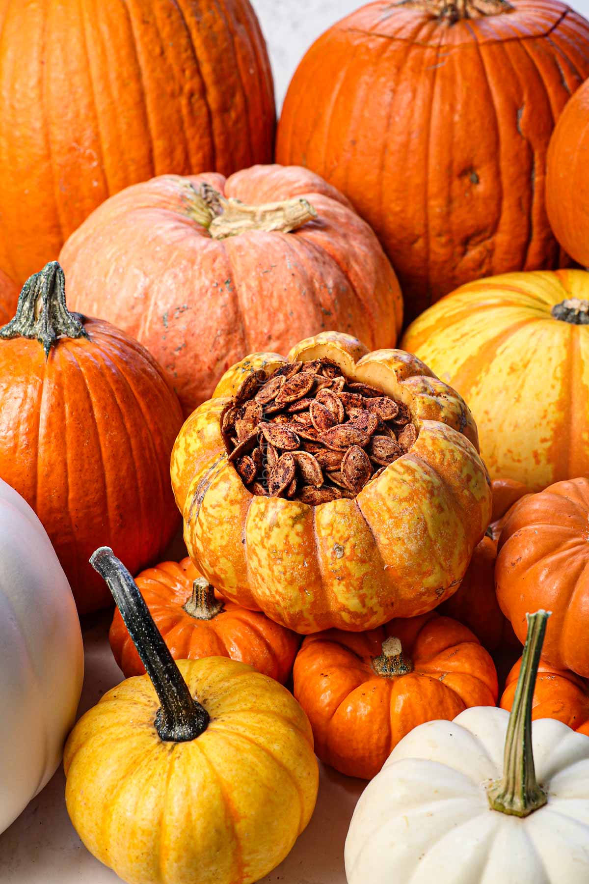 pumpkin seeds being served in a pumpkin surrounded by pumpkins