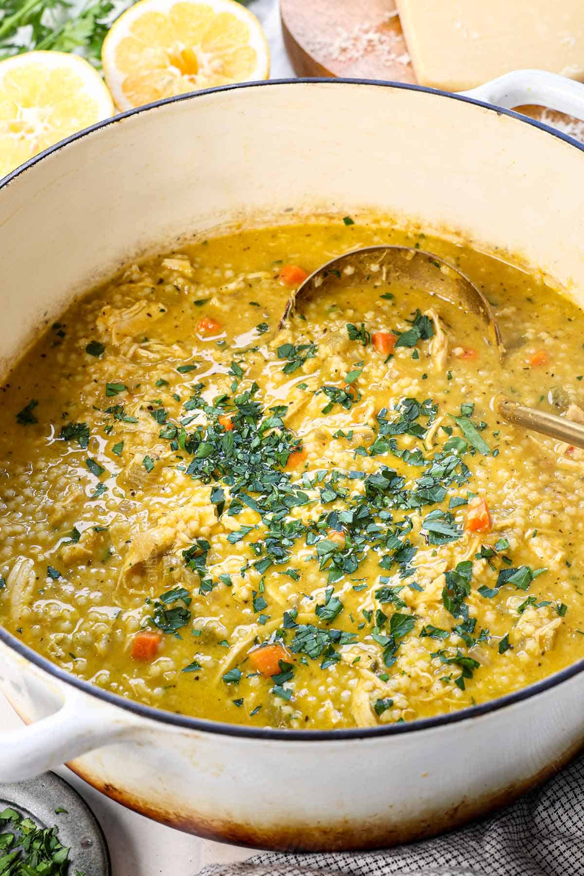side view of Penicillin Soup (pastina soup) in a Dutch oven with chicken, carrots, celery